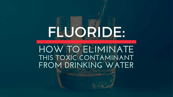 Fluoride How to Eliminate this Toxic Contaminant from Drinking Water