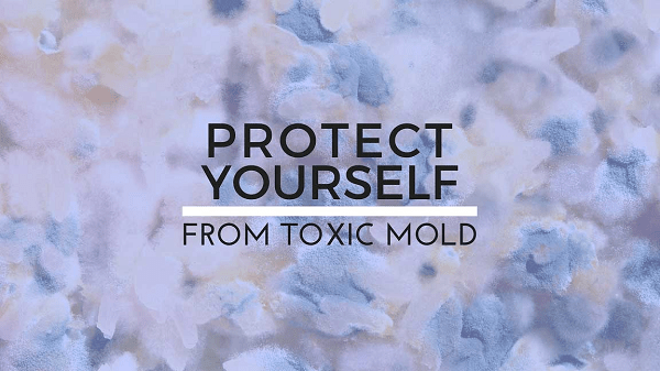 Protect Yourself From Toxic Mold