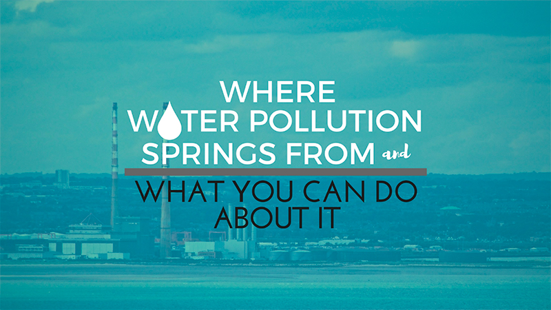 Where Water Pollution Springs From and What You Can Do About It